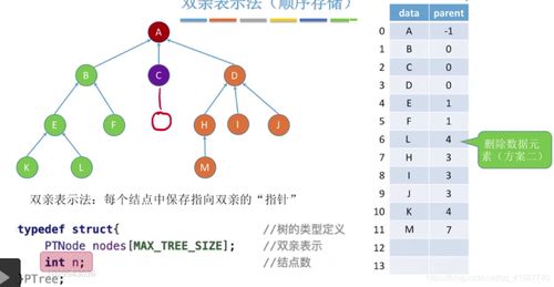 數(shù)據(jù)結(jié)構(gòu)之樹的存儲(chǔ)結(jié)構(gòu) 數(shù)據(jù)處理與存儲(chǔ)服務(wù)的基石